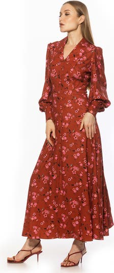 Kate Collared Long Sleeve Maxi Dress