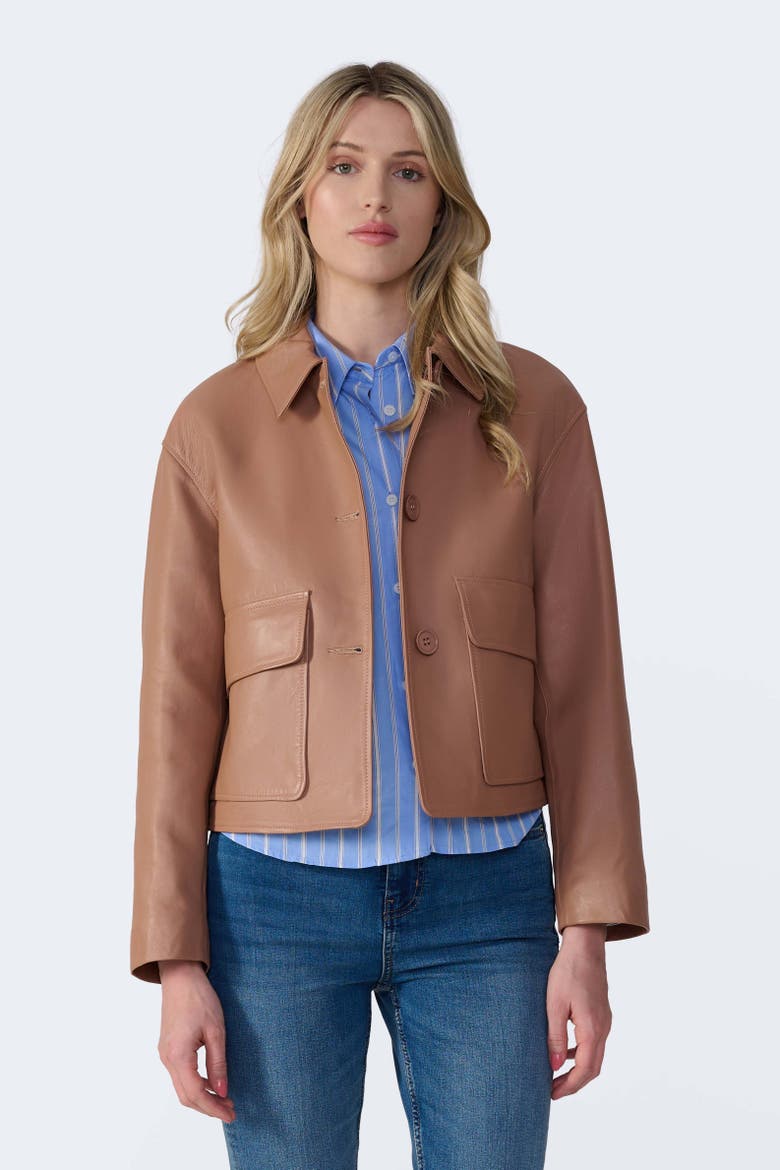 Ella Leather Jacket, Alternate, color, Mocha Brown