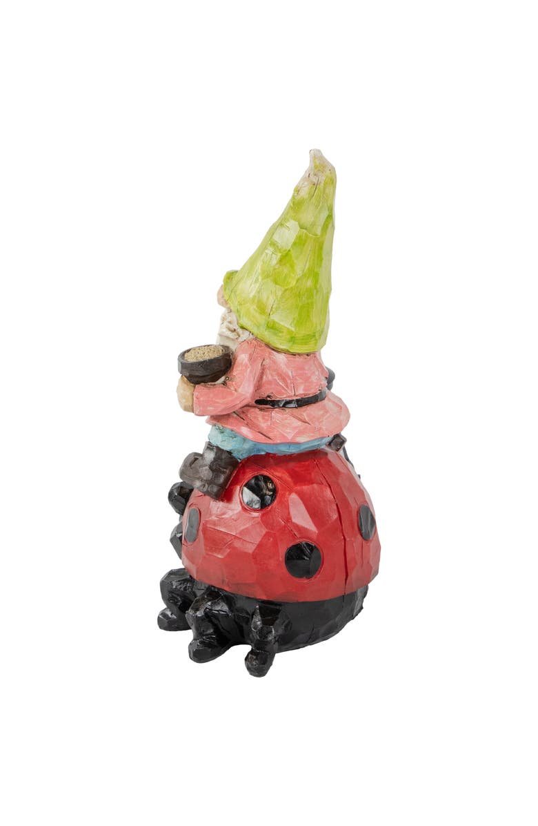 Northlight 12.25" Solar LED Lighted Gnome and Ladybug Outdoor Garden Statue, Alternate, color, Red
