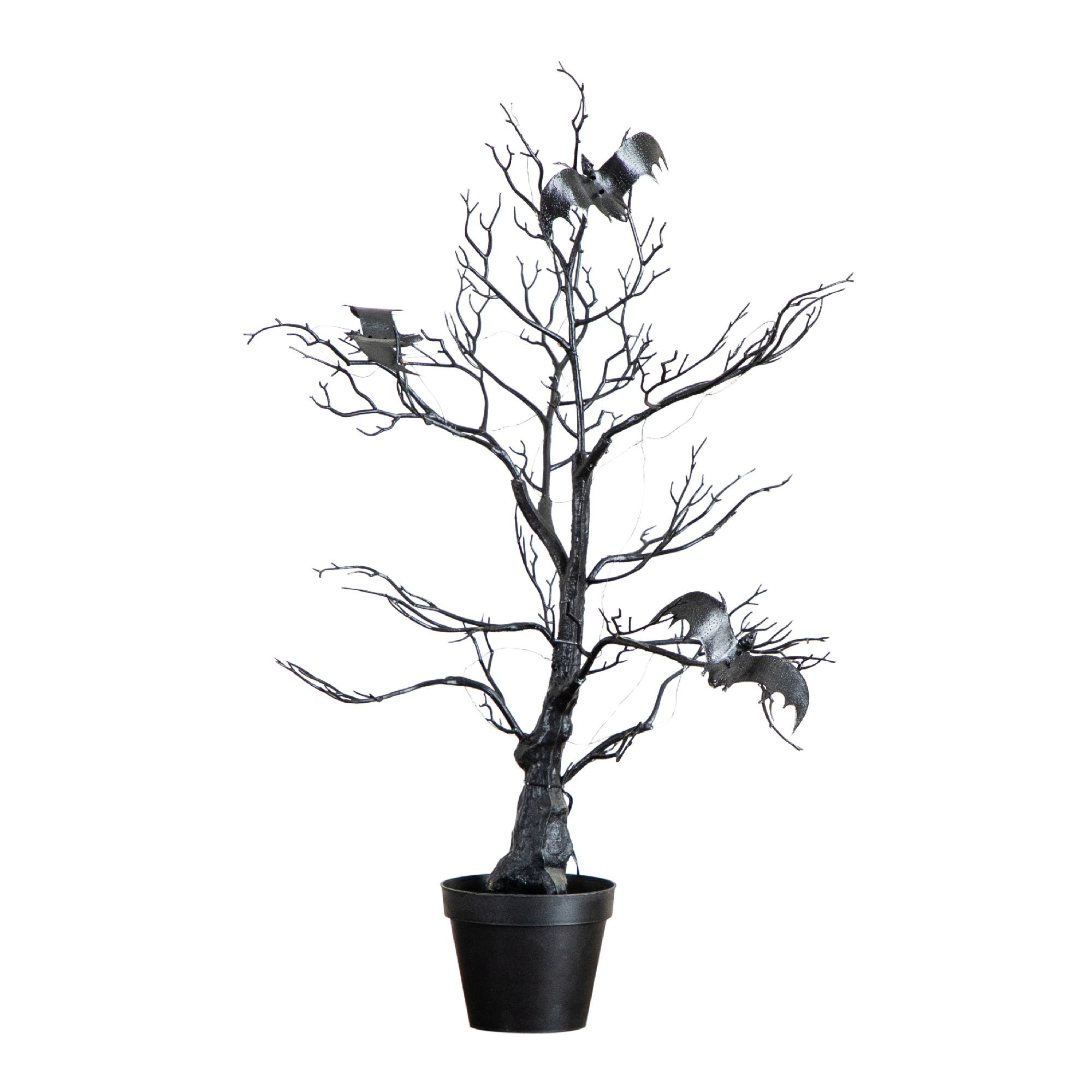 selected Black