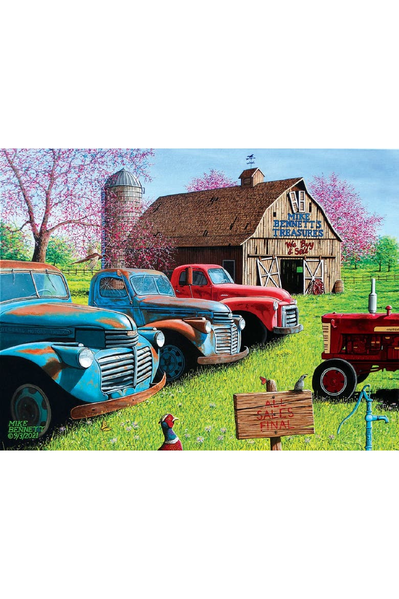 Mike Bennett's Treasures 500 piece Jigsaw Puzzle for Adults, Alternate, color, Multicolor