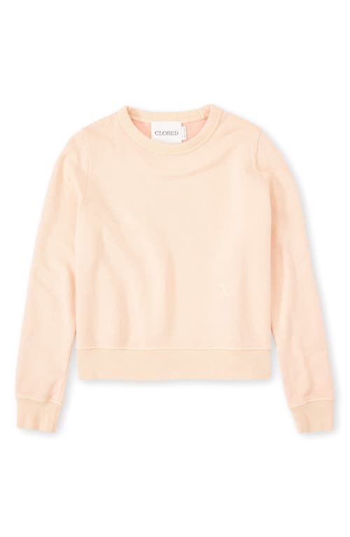 Closed Crewneck Organic Cotton Sweatshirt In Orange