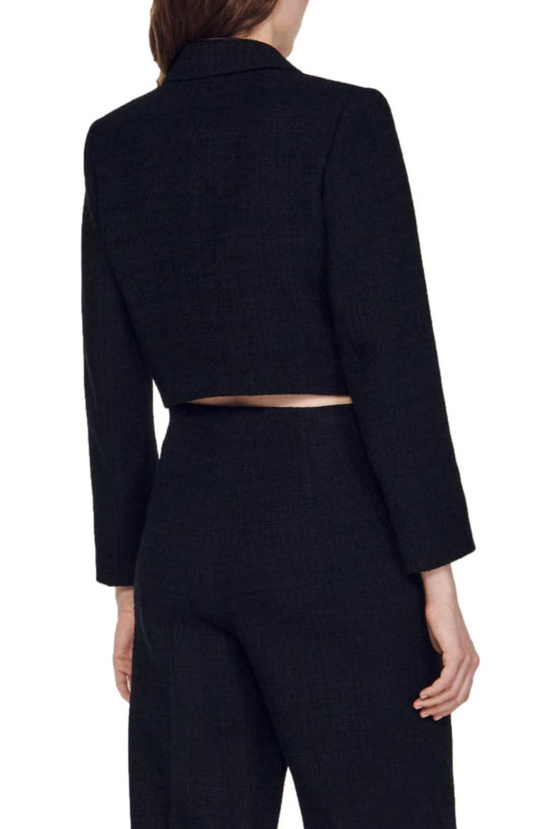 Edma Tweed Crop Blazer, Alternate, color, BLACK