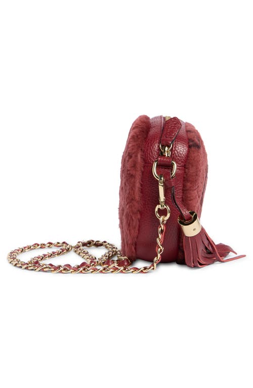 Valentino By Mario Valentino Nina Genuine Shearling Crossbody Bag In Brown