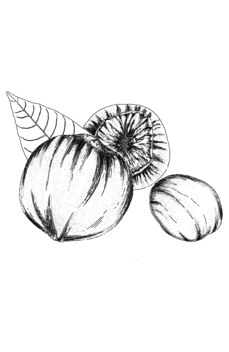 AMOUAGE Guidance Eau de Parfum, Alternate, color,