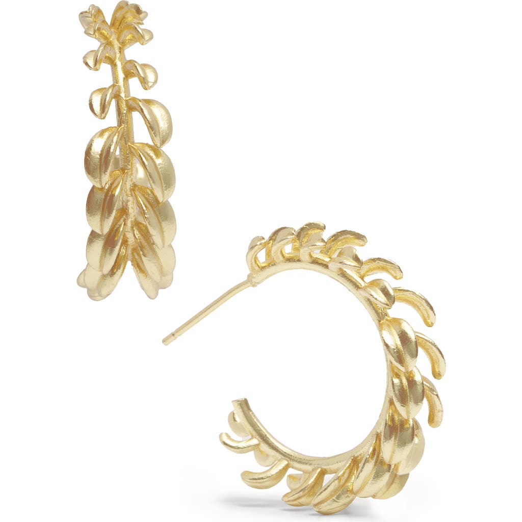 Saachi Botanical Hoop Earrings In Gold