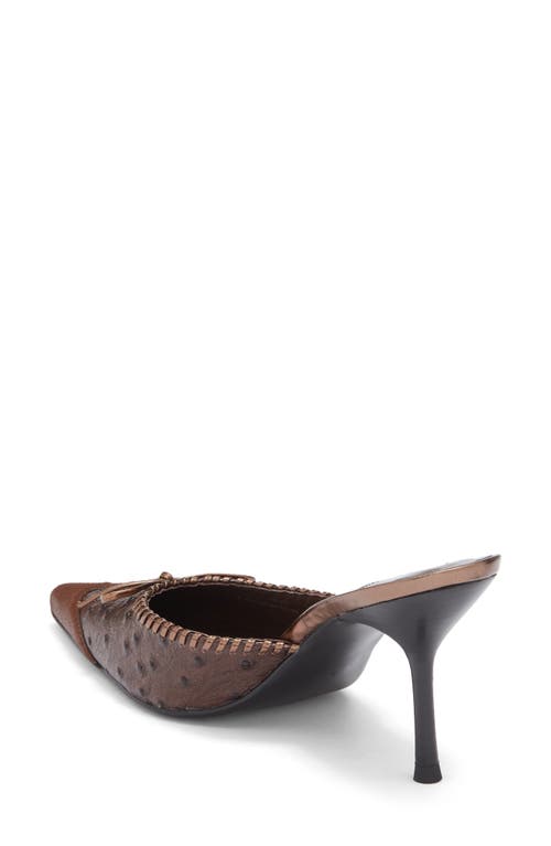 Jeffrey Campbell Clara Pointed Toe Pump In Brown