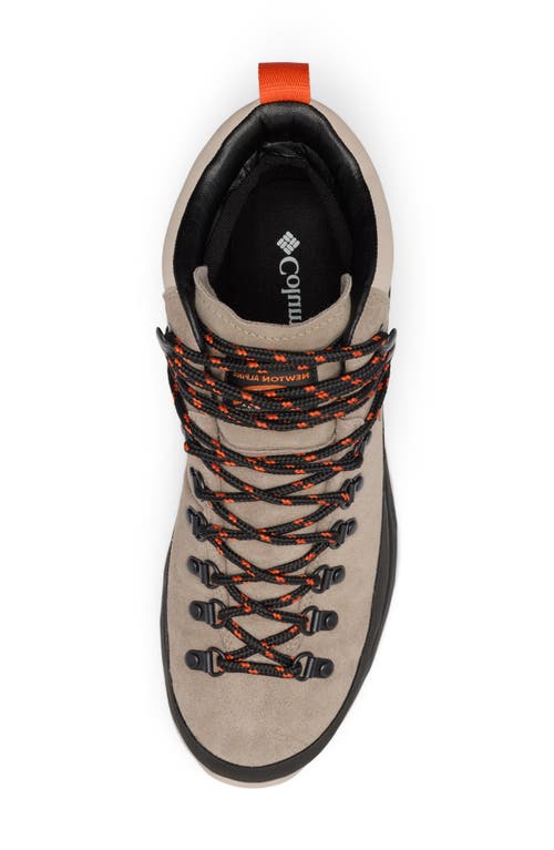 Columbia Newton Alpine Waterproof Hiking Boot In Neutral