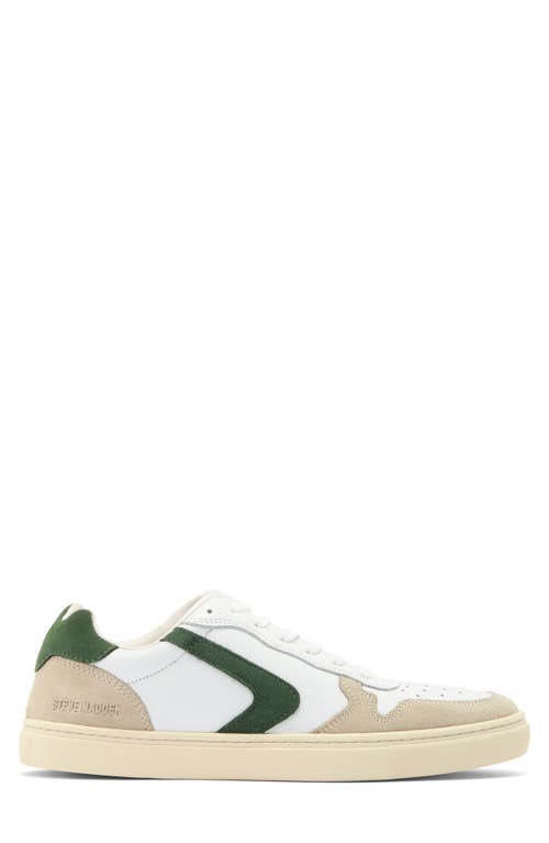 Shop Steve Madden Low Top Sneaker