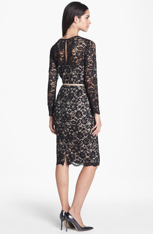 Maggy London Embroidered Lace Overlay Midi Dress In Black