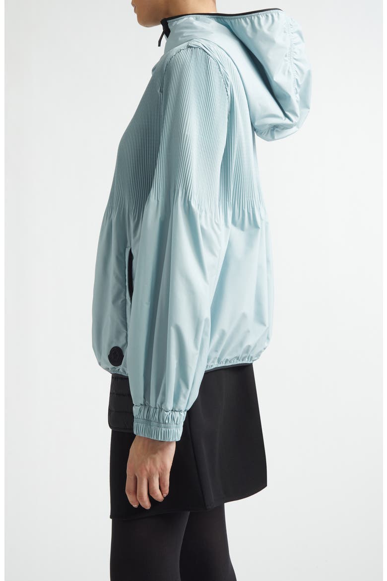Anemone Hooded Jacket, Alternate, color, BLUE