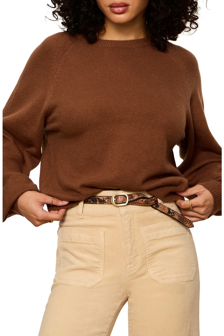Raglan Sleeve Sweater, Alternate, color, COCOA POWDER BROWN