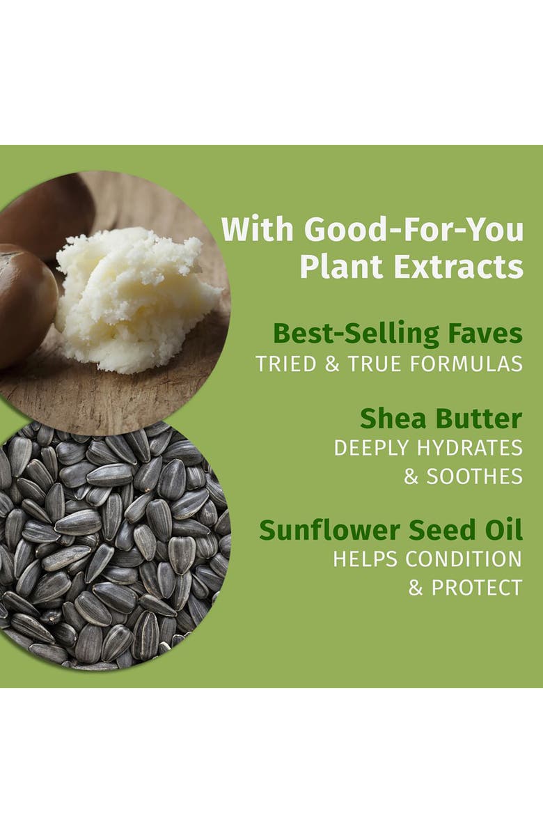 HEMPZ All is Bright Body Care Set, Alternate, color,