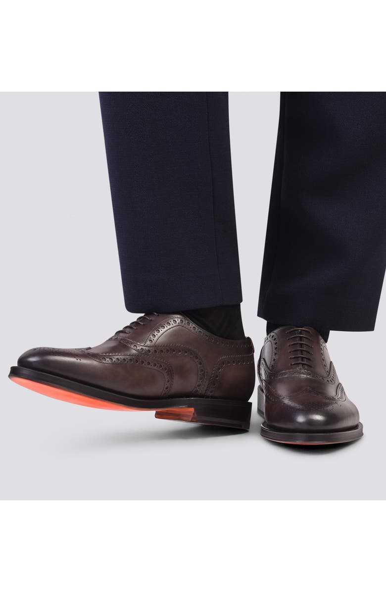 Santoni Enrico Brogue Wingtip Oxford, Alternate, color,
