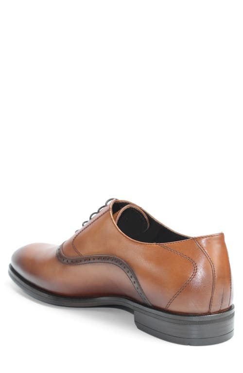 Vellapais Bristol Plain Toe Oxford In Brown