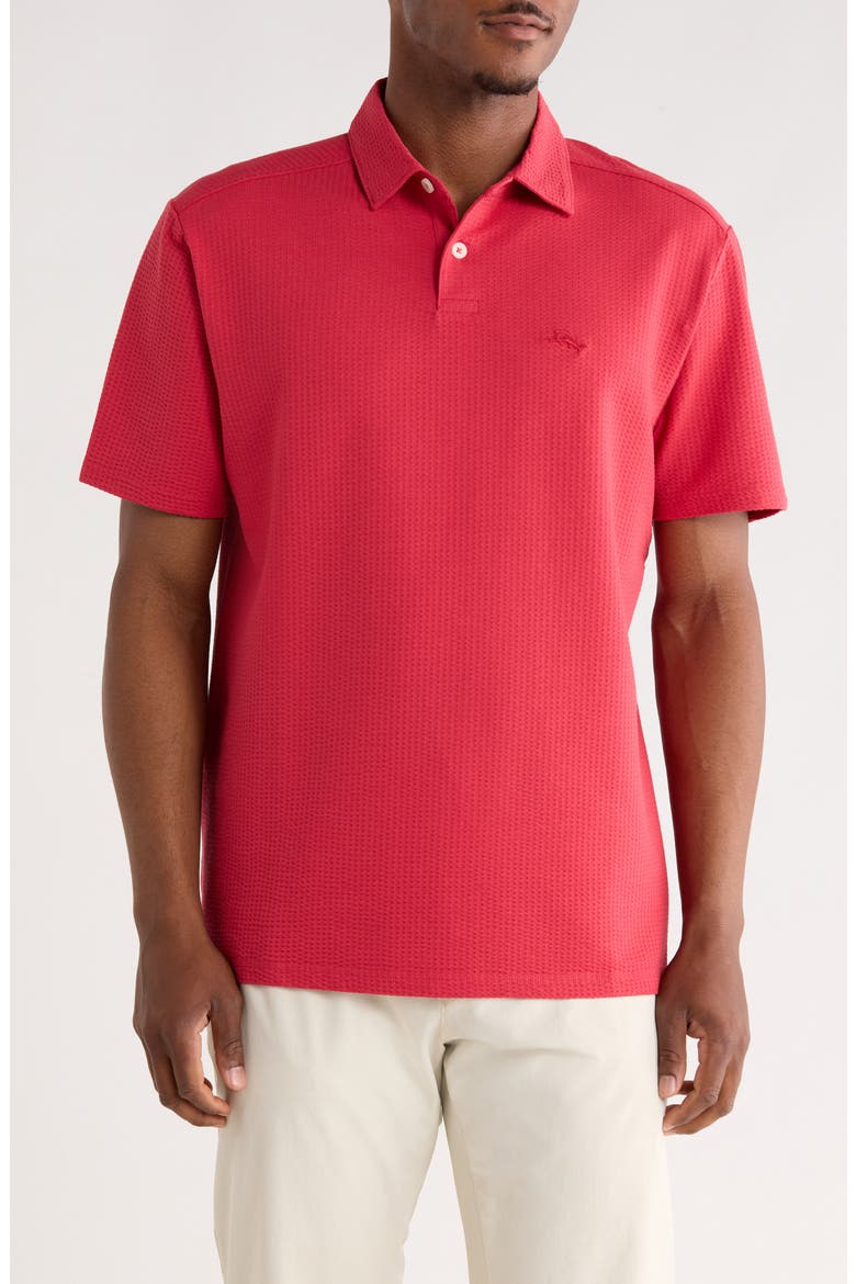 Pucker Waves Knit Polo, Main, color, RED