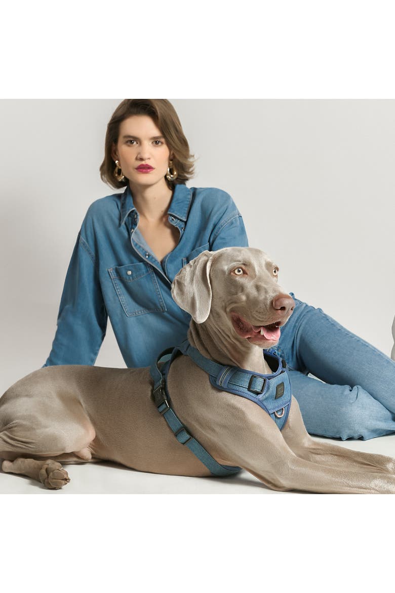 The NoMad Adjustable Luxe Harness, Alternate, color, Denim