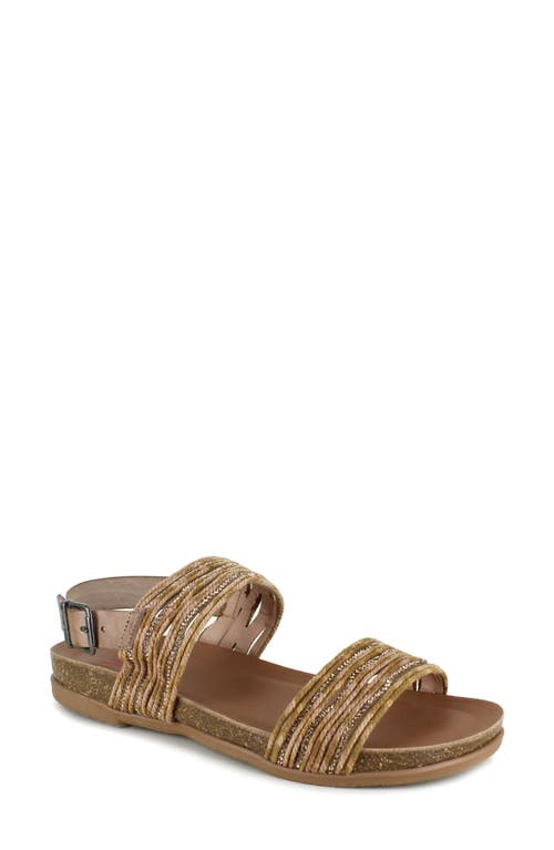 Shop National Comfort Pettra Ankle Strap Sandal In Taupe Leather