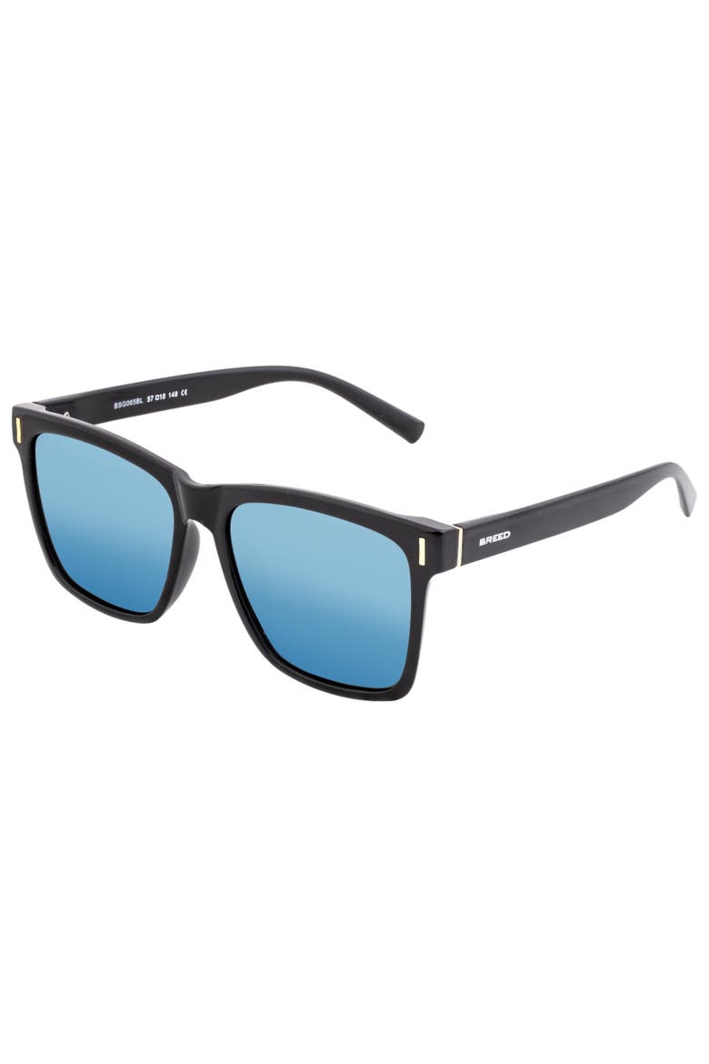 Pictor Polarized Sunglasses, Main, color, Black/Blue