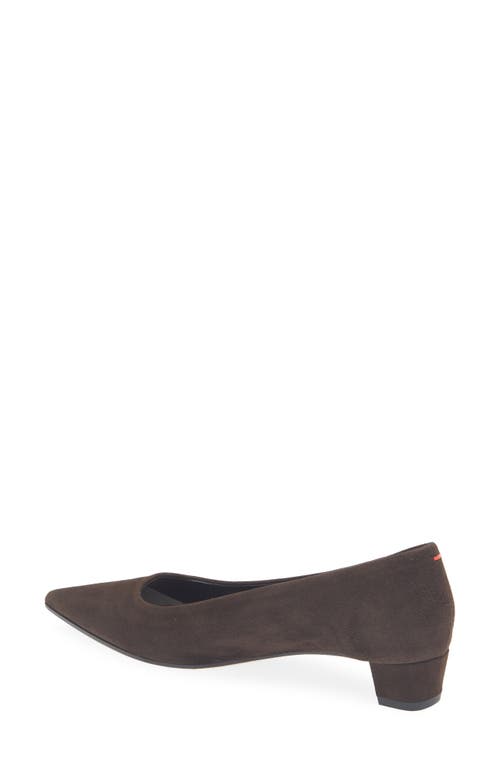 Aeyde Judi Pointed Toe Pump In Brown