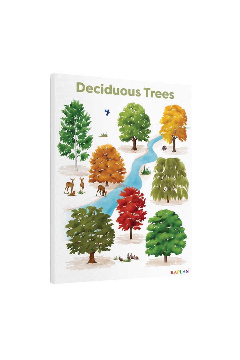 Deciduous Tree Giclee Classroom Wall Print, Alternate, color, green