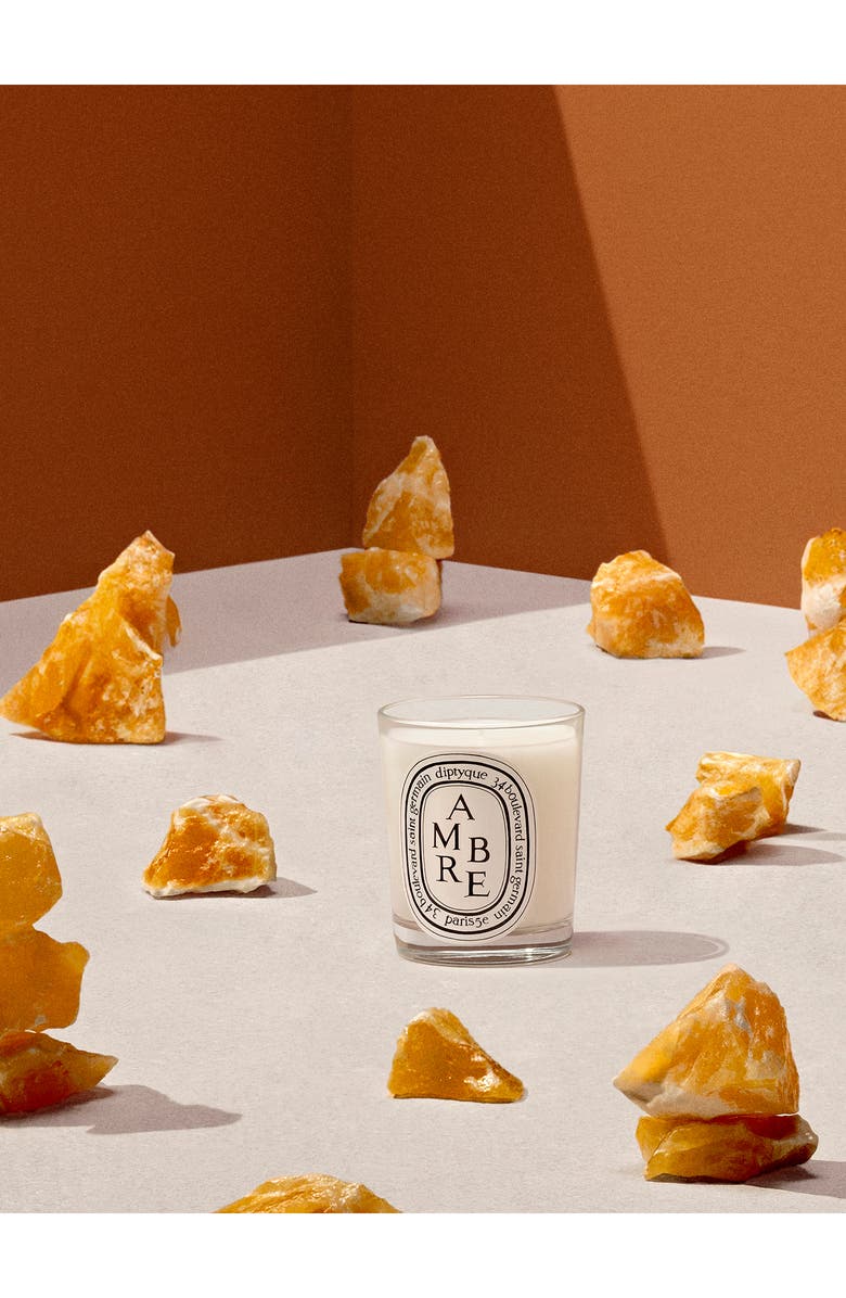 Diptyque Ambre (Amber) Scented Candle, Alternate, color,