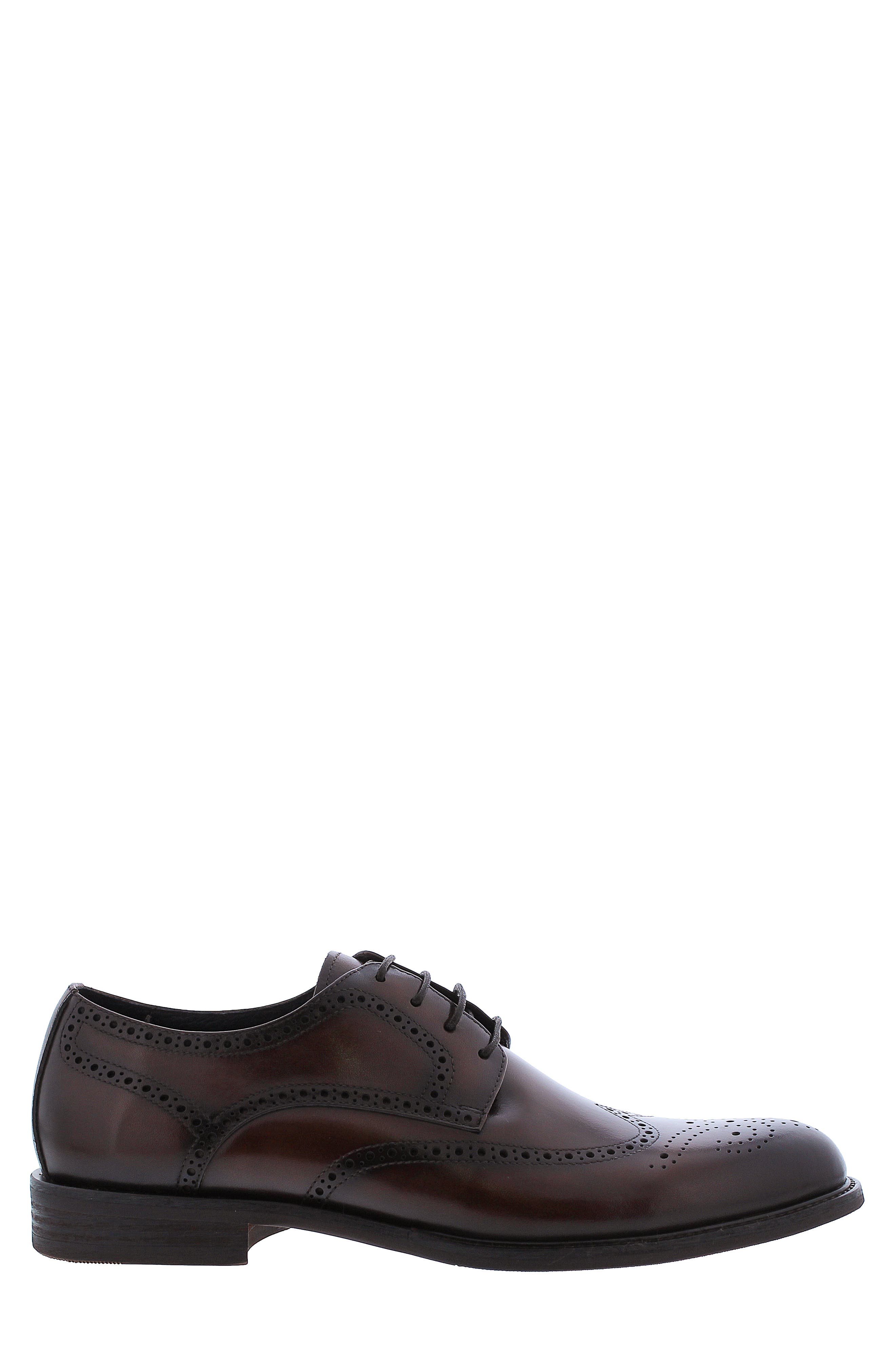 Delos Brogued Wingtip Derby, Alternate, color, BROWN