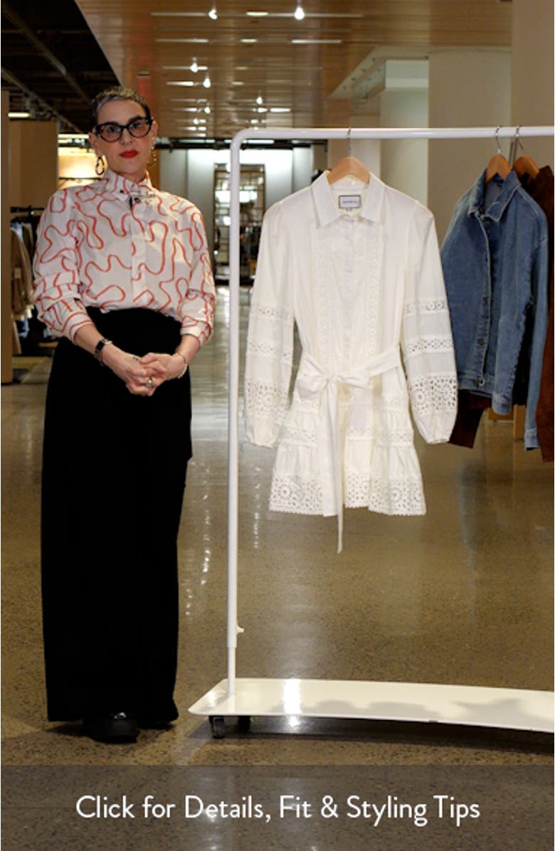 Aubrey Lace Trim Tie Waist Long Sleeve Minidress, sales video thumbnail