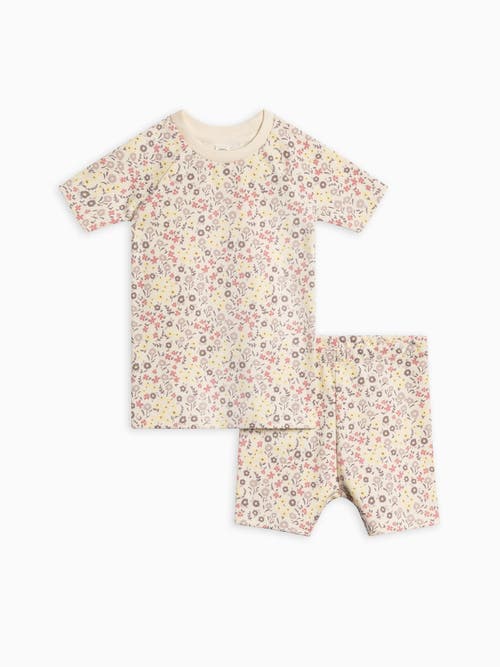 Colored Organics Organic Cotton 2-piece Short Sleeve Jammie Set In Purple