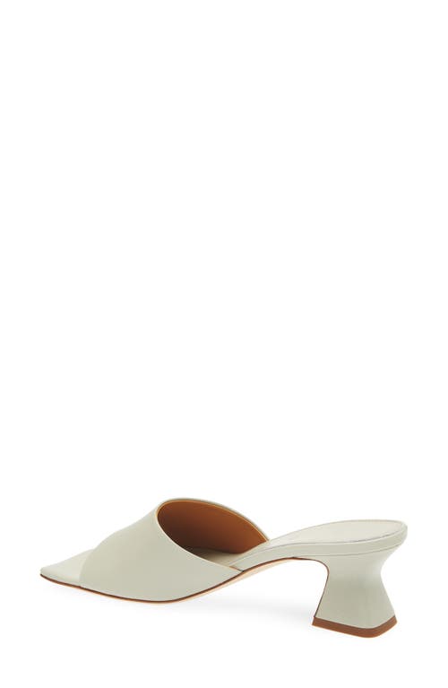 Aeyde Ale Slide Sandal In Green