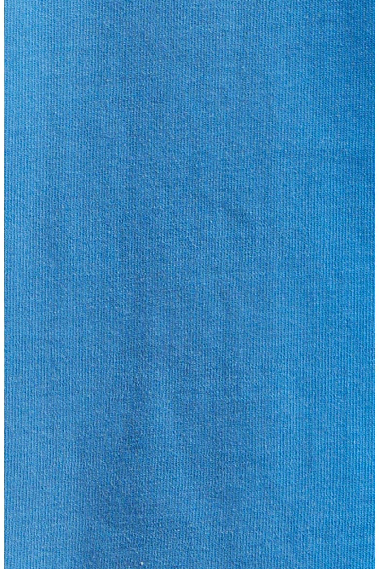Arts District Faded Cotton T-Shirt, Alternate, color, SAPPHIRE