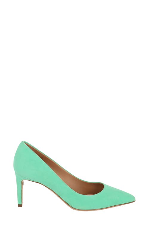 Ferragamo Pointed Toe Pump In Green