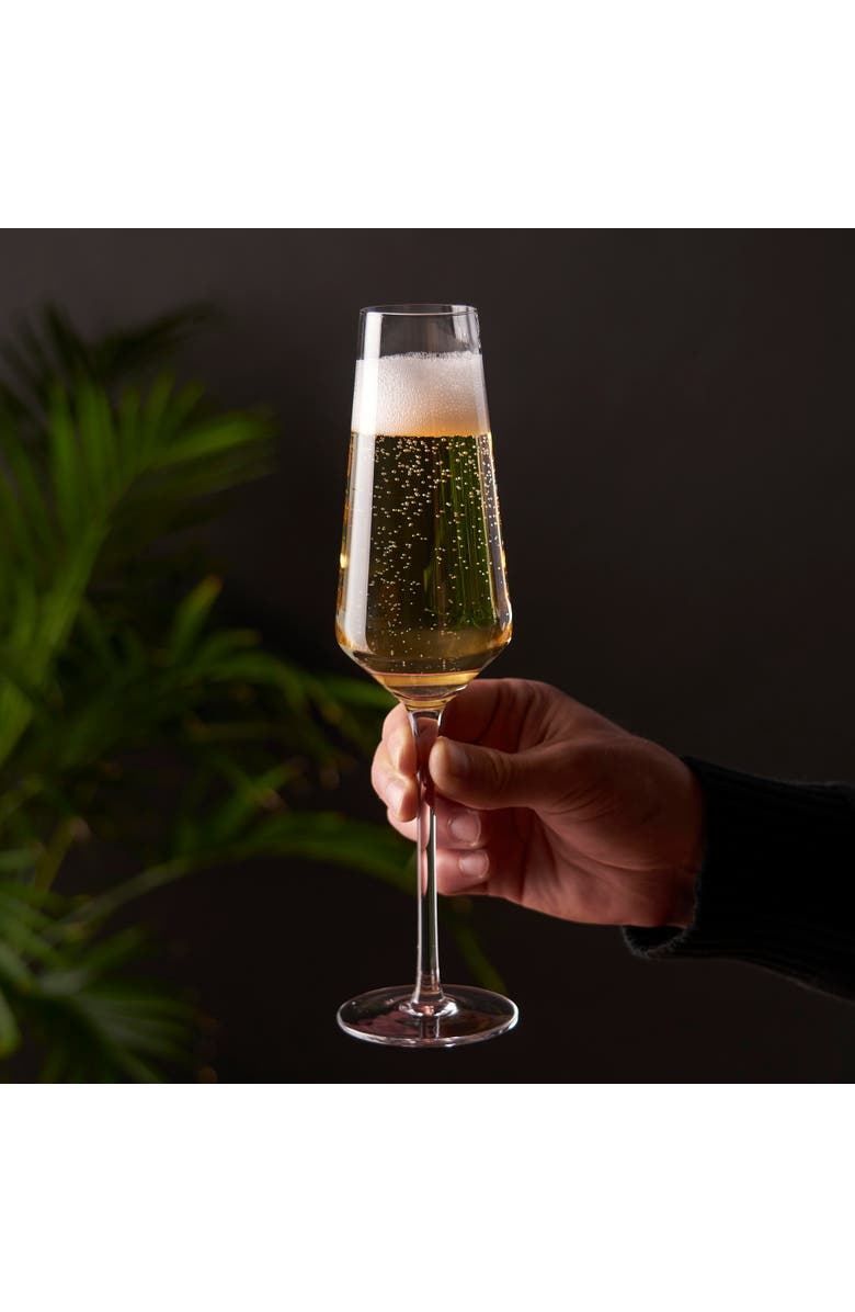 Viski Raye Crystal Angled Champagne Flutes Set of 2, Alternate, color, Clear