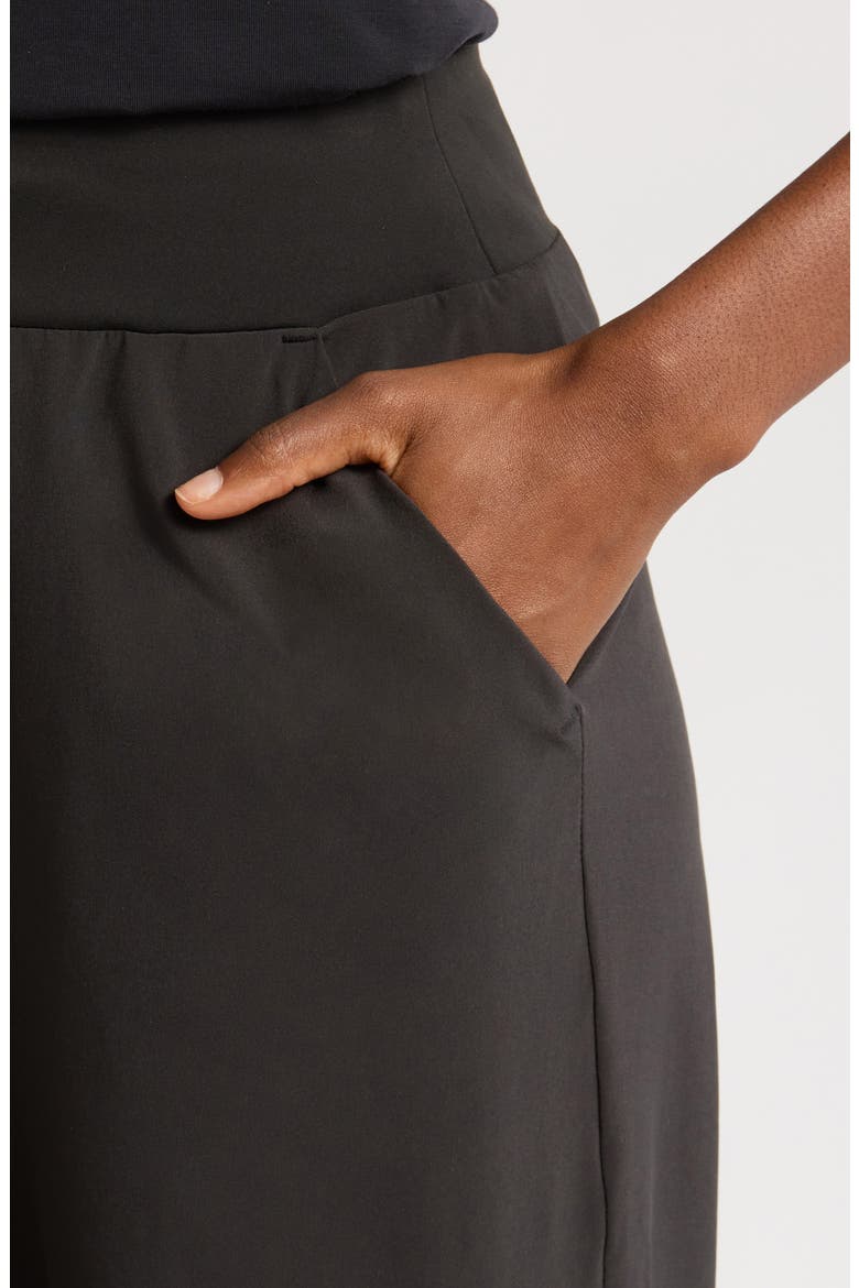 Breeze Flats Pull-On Pants, Alternate, color, BLACK