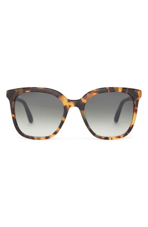 Toms Charmaine 54mm Square Sunglasses In Blonde Tortoise/deep Olive