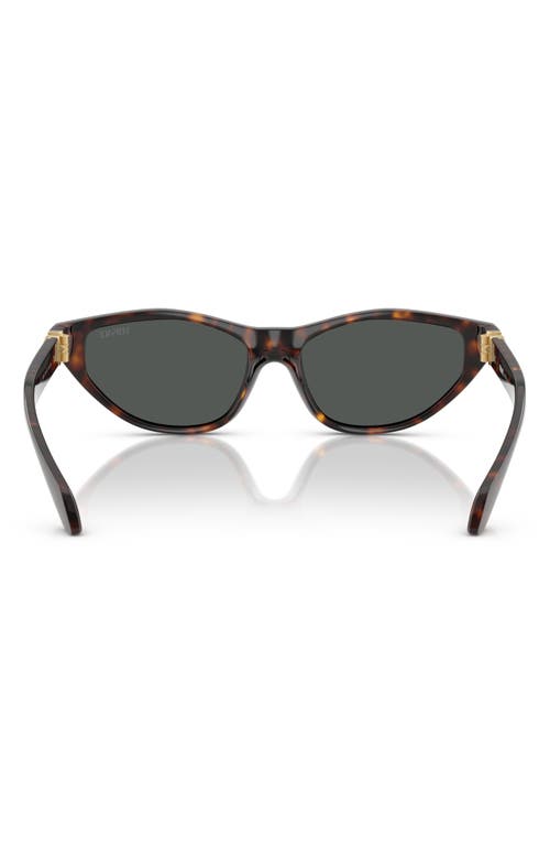 Versace 55mm Cat Eye Sunglasses