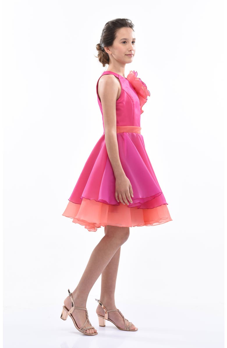 Tulleen Estancia Dress, Alternate, color, Fuchsia