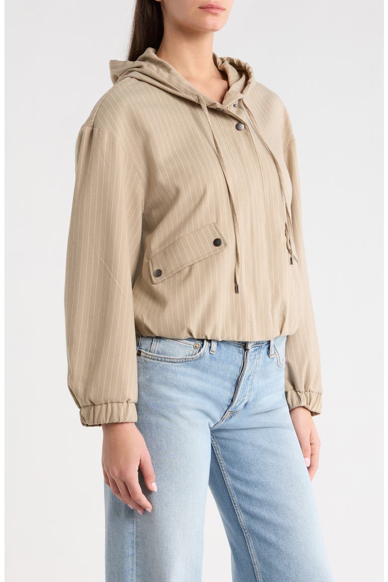 Pinstripe Hooded Jacket, Alternate, color, TOFFEE