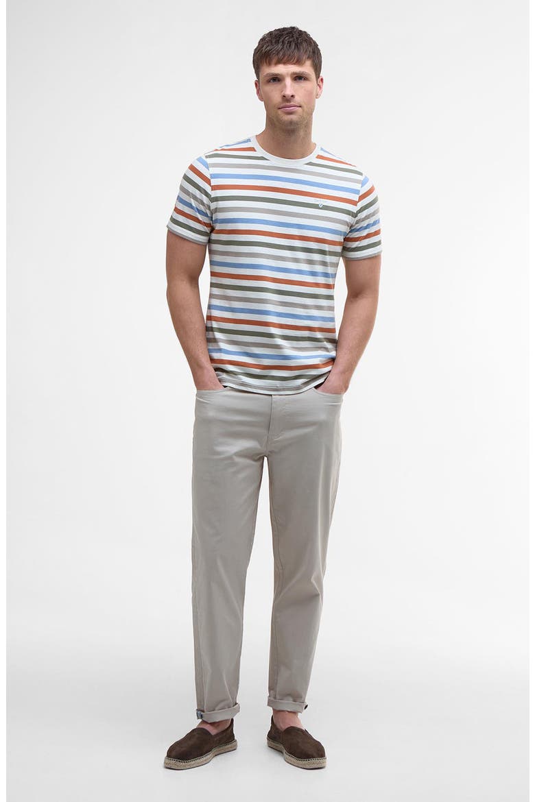 Rokeby Stripe Cotton T-Shirt, Alternate, color, WHISPER WHITE