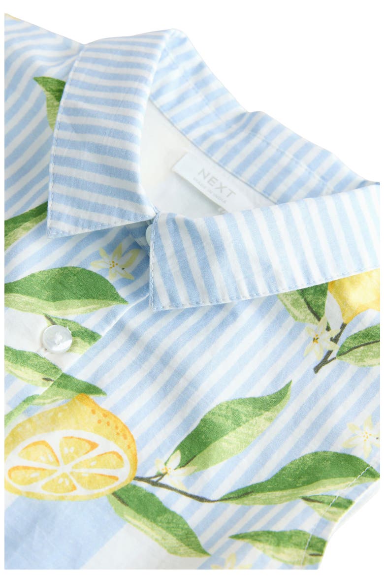 Stripe Lemon Print Cotton Shirtdress, Alternate, color, BLUE