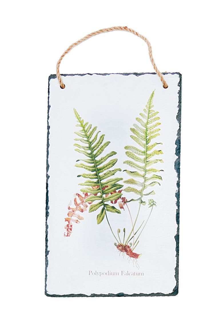 Fern Slate Hanging Assortment of 4 Wall Art Signs 7" x 11.75", Alternate, color, White