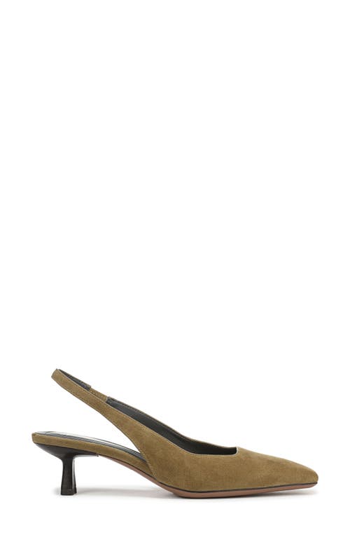 Sarto By Franco Sarto Raven Slingback Kitten Heel Pump In Green