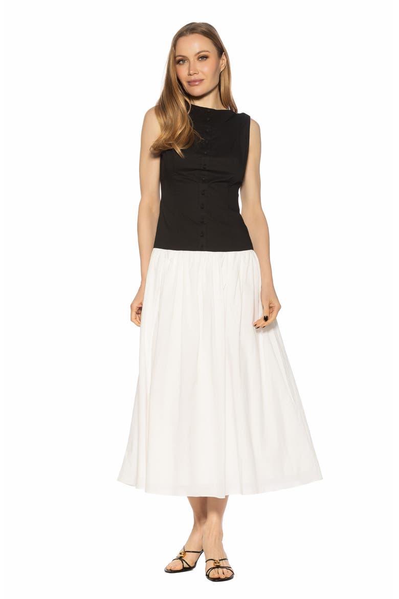 Solenne Mixed Media Dress, Alternate, color, BLACK/ WHITE