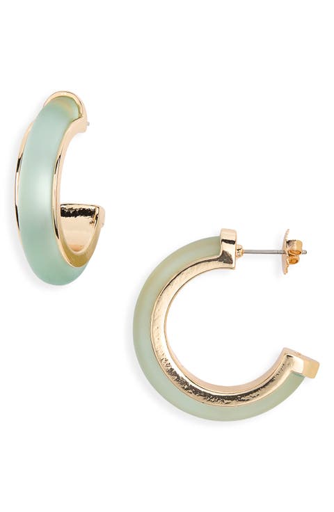 Frosted Resin Hoop Earrings