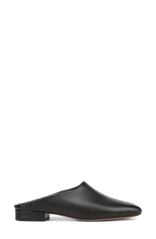 Franco Sarto Daley Mule In Black