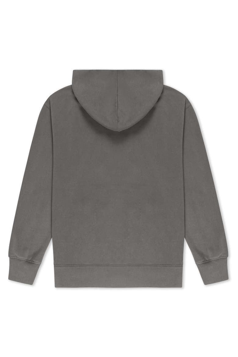 Heartly Ghost Midweight Fleece Faded Zip Hooded Sweatshirt, Alternate, color, Faded Gray