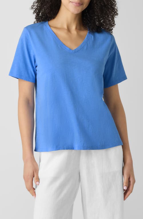 Eileen Fisher Easy V-neck Organic Cotton T-shirt In Ultramarine