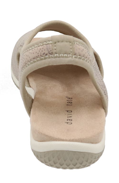 David Tate Stretch Slingback Sandal In Brown
