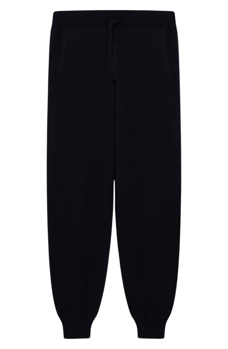 Max Mara Leisure Pila Drawstring Sweater Joggers, Alternate, color, 