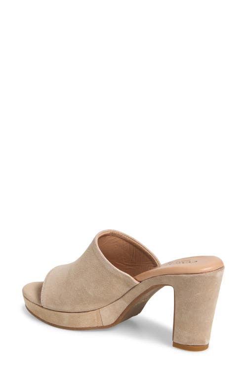 Cordani Vonnie Slide Sandal In Visone